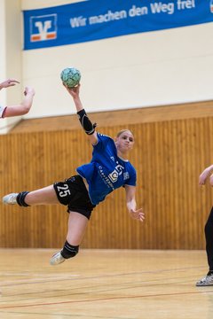 Bild 241 - TSV Ellerau - SG Hamburg Nord : Ergebnis: 42:23